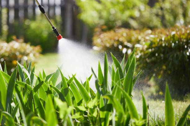 24/7 Emergency Mosquito Control experts in Rock Springs, WY