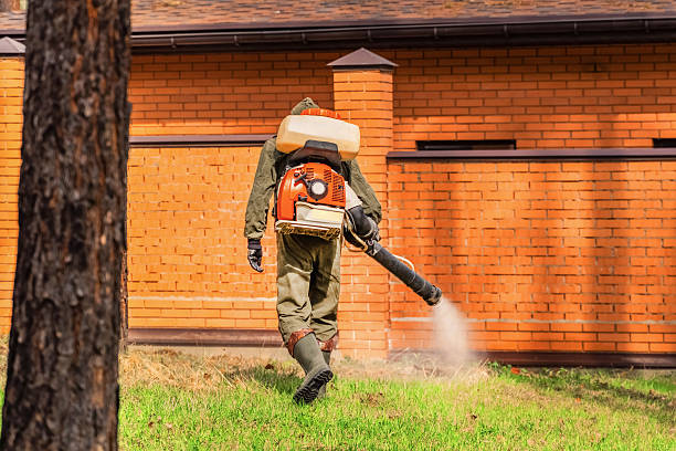 Top rated local Mosquito Control specialists in Rock Springs, WY